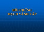 hcvanhcap