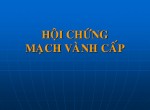 hcvanhcap